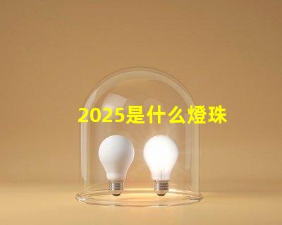 2025是什么燈珠 2025燈珠的尺寸